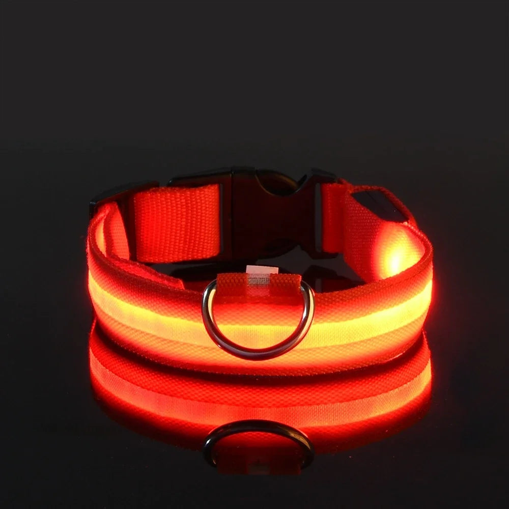 Leuchtendes Hunde Halsband mit LED-Licht – zodobi