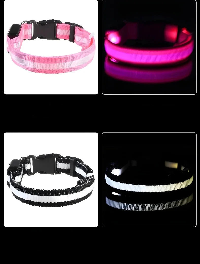 Leuchtendes Hunde Halsband mit LED-Licht – zodobi