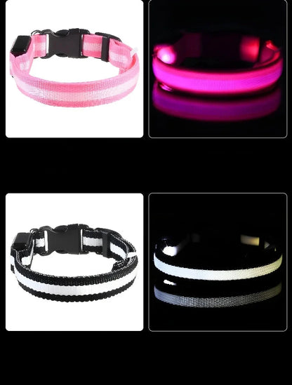 Leuchtendes Hunde Halsband mit LED-Licht – zodobi