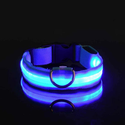 Leuchtendes Hunde Halsband mit LED-Licht – zodobi