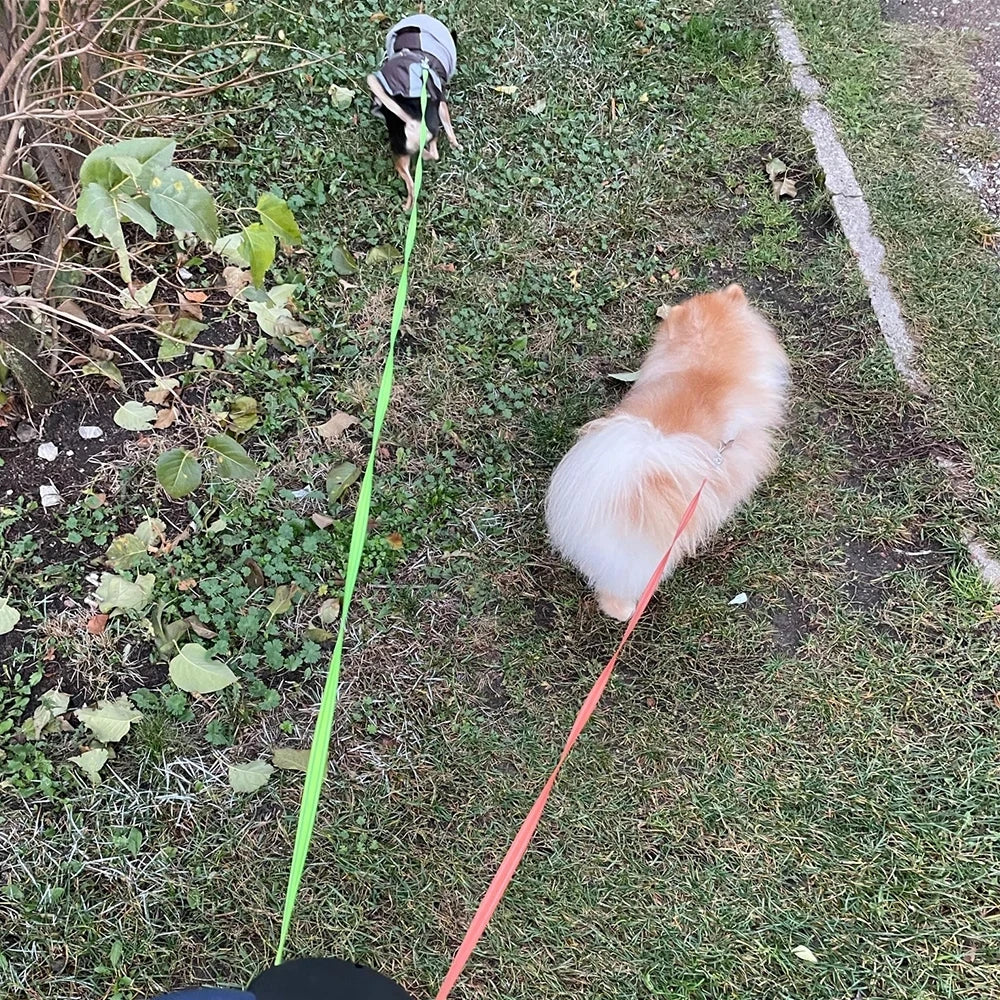 Doppelte Hunde-Leine mit LED für 2 Hunde bei Zodobi