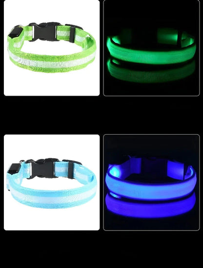 Leuchtendes Hunde Halsband mit LED-Licht – zodobi