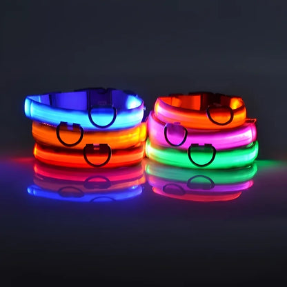 Leuchtendes Hunde Halsband mit LED-Licht – zodobi