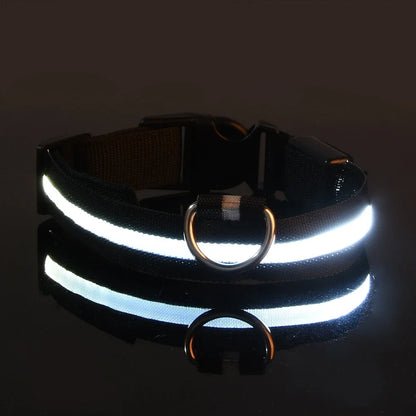 Leuchtendes Hunde Halsband mit LED-Licht – zodobi