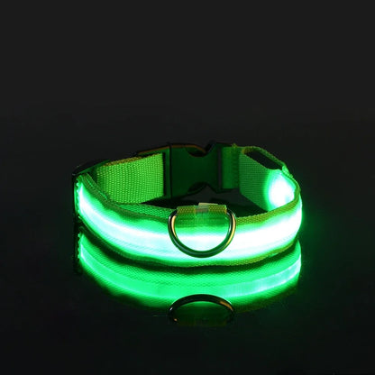 Leuchtendes Hunde Halsband mit LED-Licht – zodobi