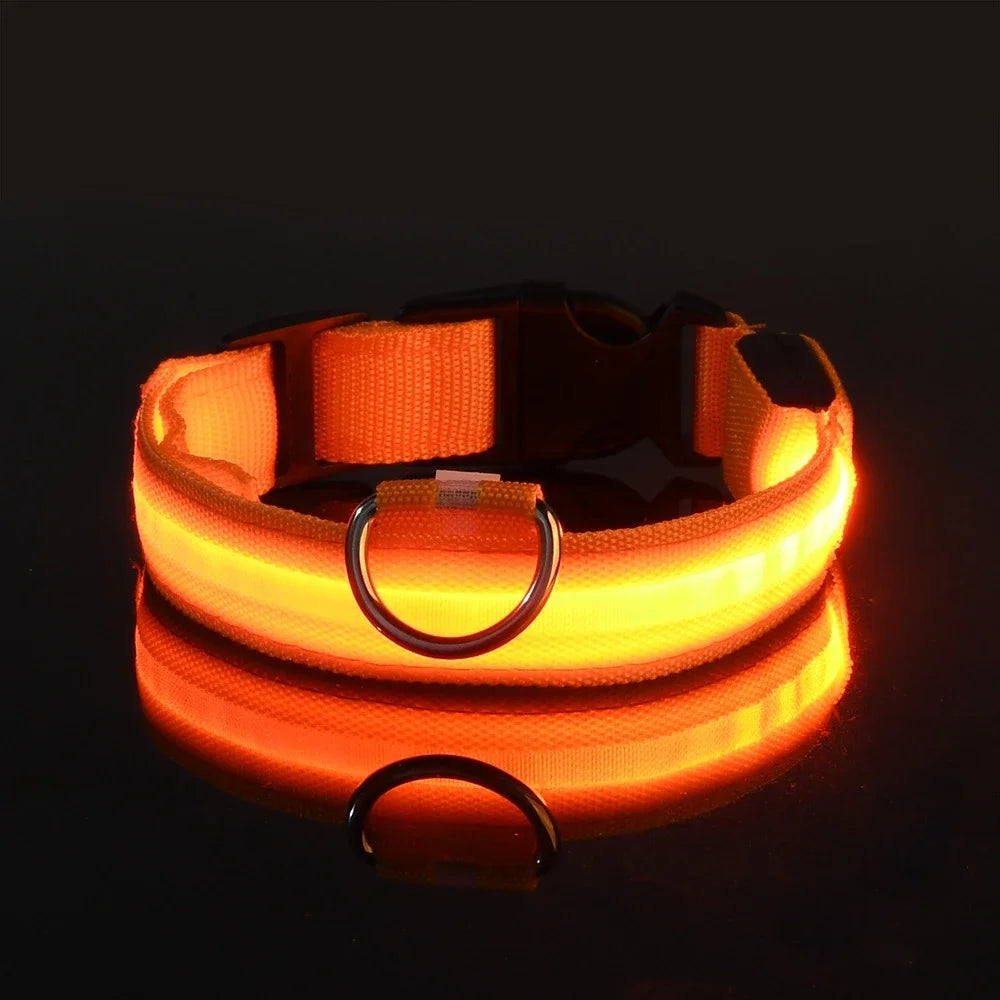 Leuchtendes Hunde Halsband mit LED-Licht – zodobi