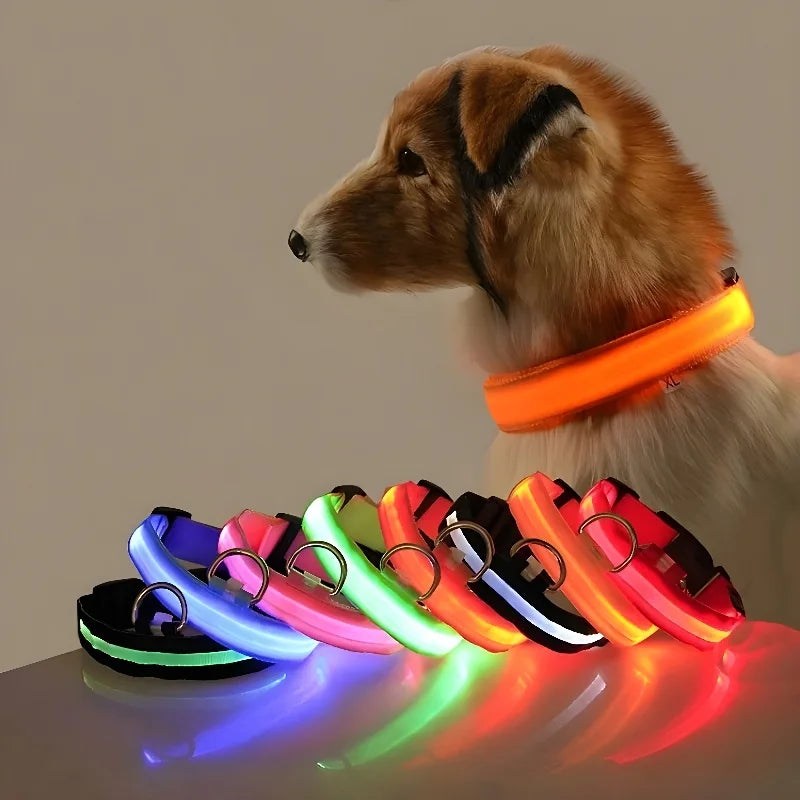 Leuchtendes Hunde Halsband mit LED-Licht – zodobi