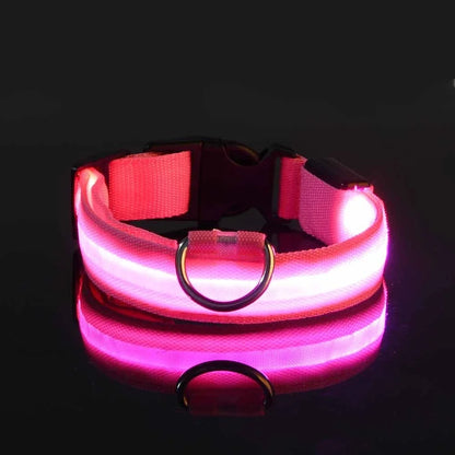 Leuchtendes Hunde Halsband mit LED-Licht – zodobi