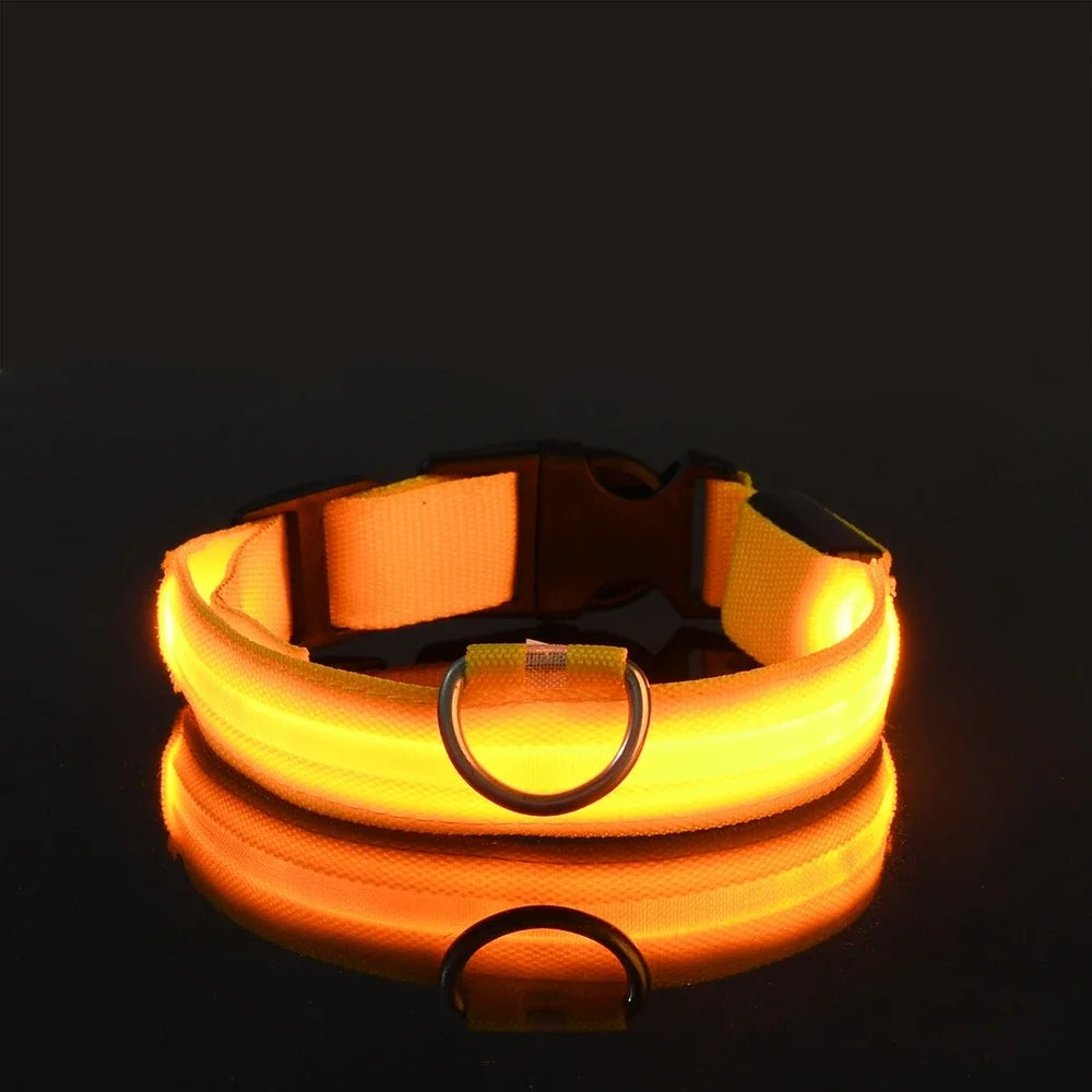 Leuchtendes Hunde Halsband mit LED-Licht – zodobi