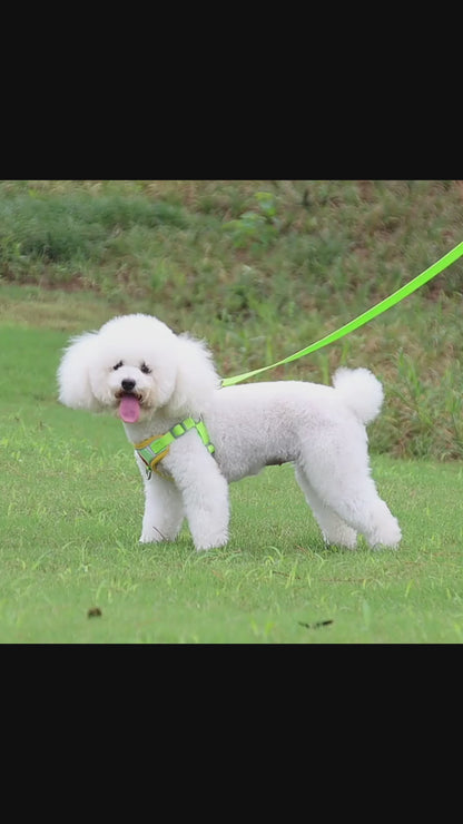 Reflektierendes No Pull Hunde Geschirr mit Leine – Für kleine Hunde